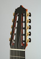 イダ・ギター工房　10弦ギター　エレアコギター